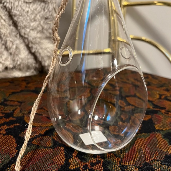 Hanging Glass Terrarium - Picture 3 of 7